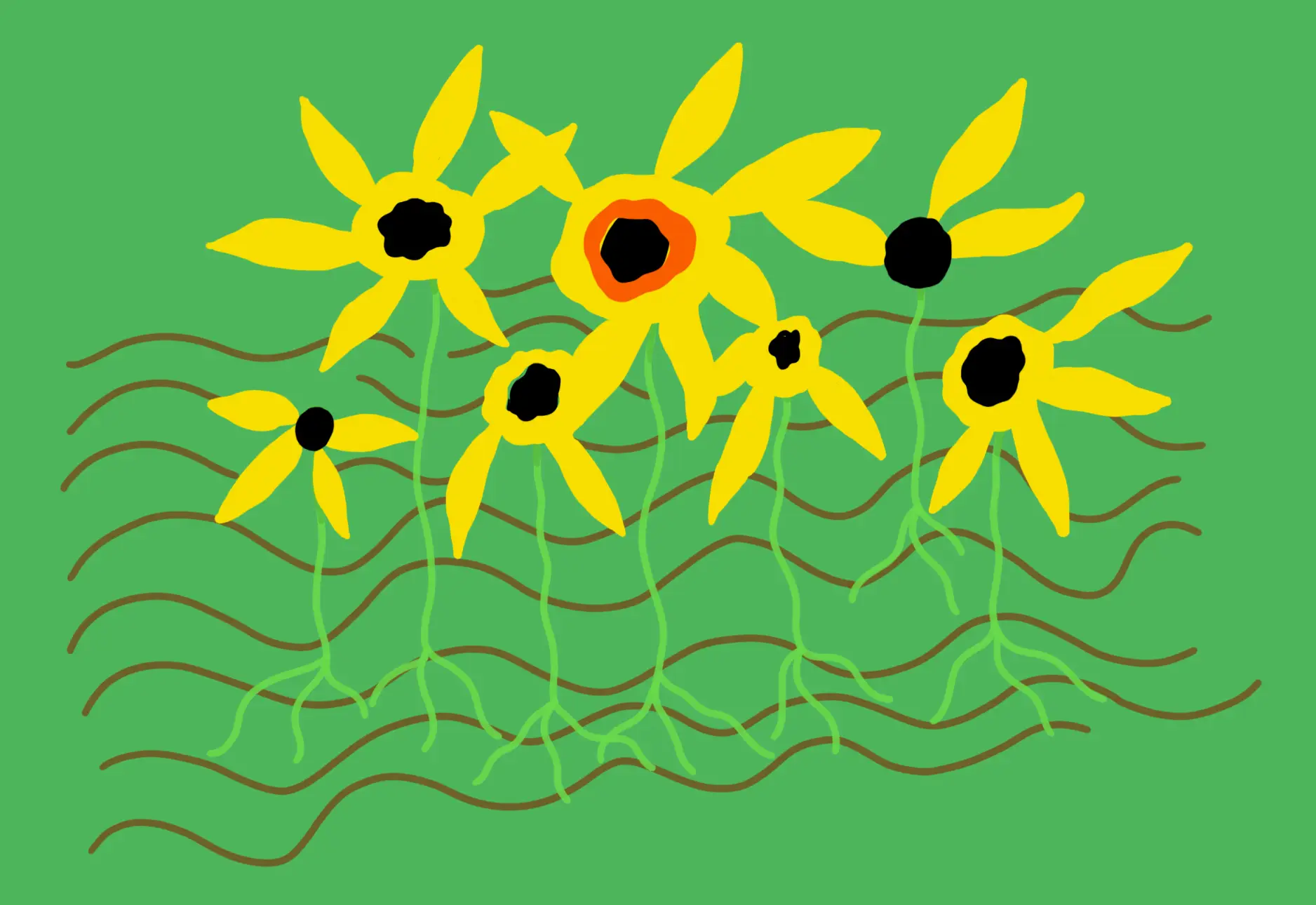 Floarea Soarelui