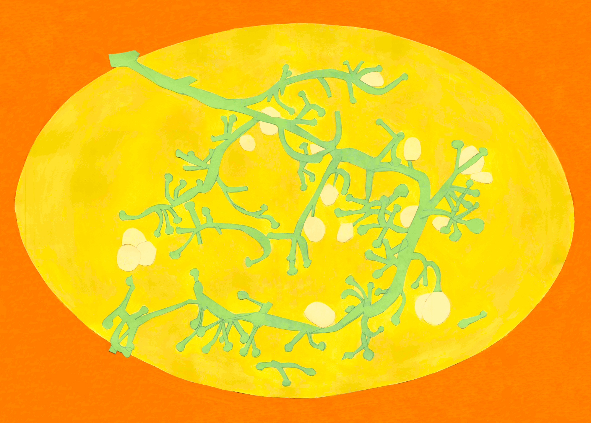 Ciorchine III
